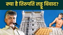 Tirupati Laddu Controversy: अब तक क्या हुआ? कहां से आता है प्रसाद बनाने का घी?| Explainer