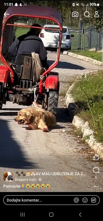 Ubistvo psa u Lukavici