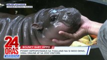 ONLINE EXCLUSIVE: Pygmy Hippopotamus sa Thailand na si Moo Deng, viral online at sa zoo visitors | 24 Oras Weekend