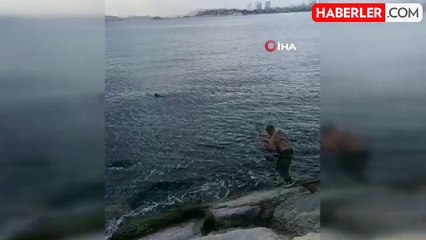 Pendik'te Denize Düşen Kadın Son Anda Kurtarıldı