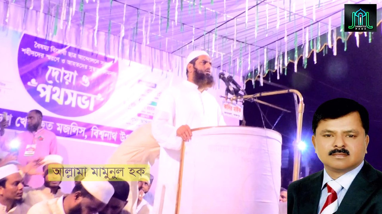 এম ইলিয়াস আলীর অপরাধ কি ছিল | আল্লামা মামুনুল হক | Allama Mamunul Haque