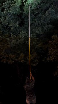 Best Caption Wins Follow For More Videos Have Trendingreels ...!!