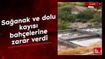 Elazığ'da sağanak ve dolu kayısı bahçelerine zarar verdi