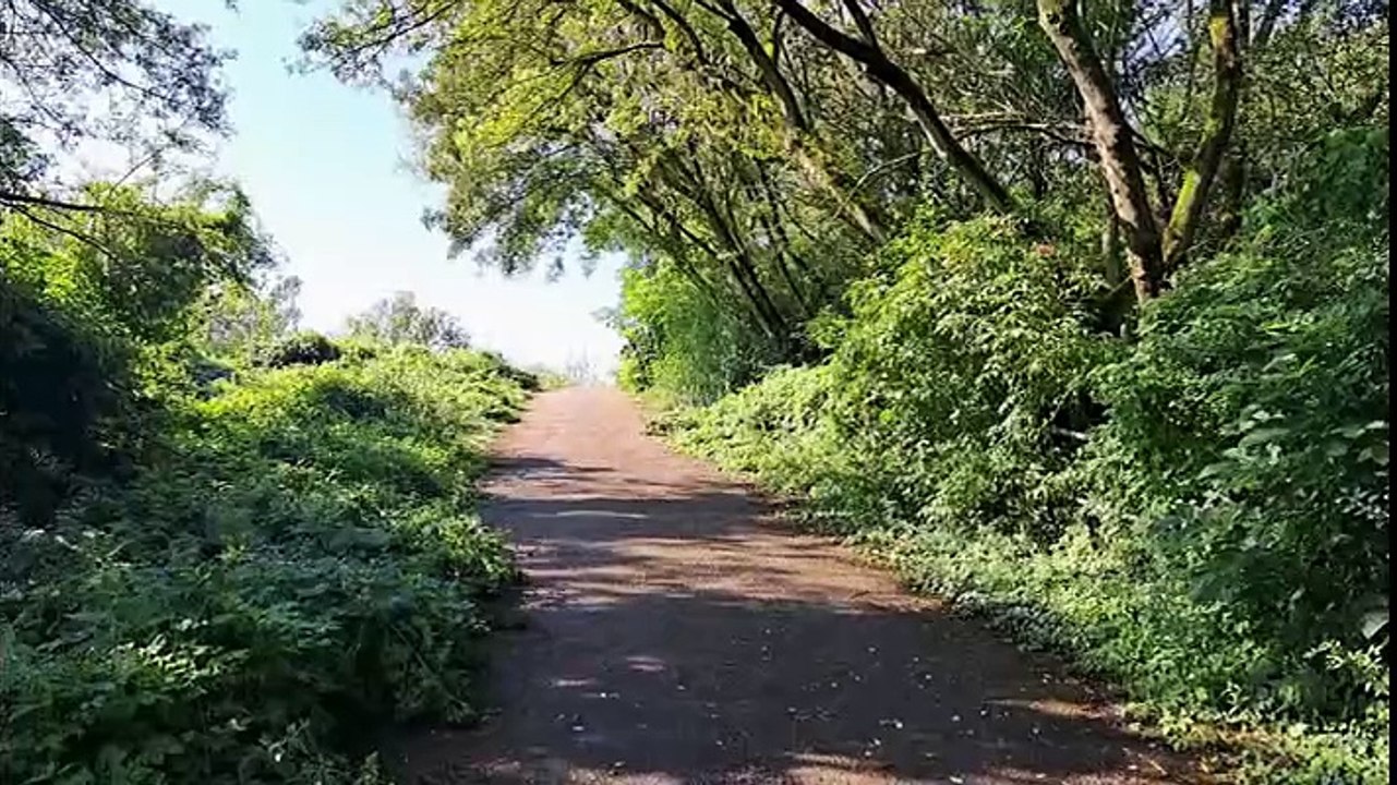 Volkspark Prenzlauer Berg