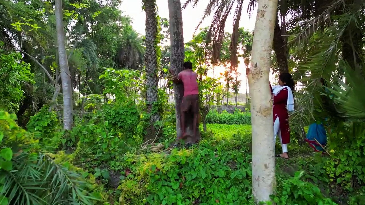 Drone Shots of our Village _ Dji Mini 3 Pro Cinematic Shots 4K _ My village