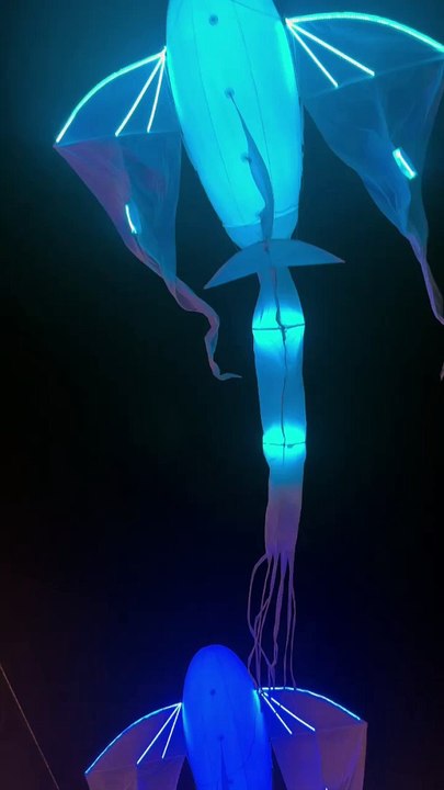 Cosmocité LA JOURNÉE D'INAUGURATION Music Show #music #creative #show #creativity #animation (1)