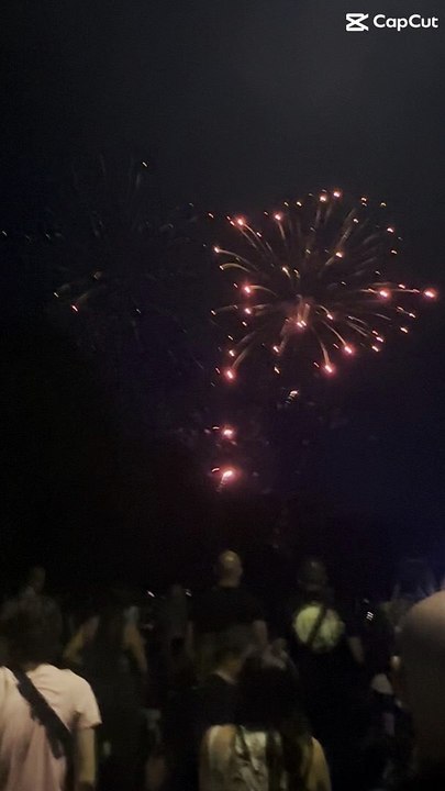 Le Feu d’artifice du 14 juillet Grenoble  Parc Jean-Verlhac Villeneuve #france #grenoble #show (20)