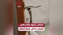 الركاب تركوا مقاعدهم.. ثعبان داخل عربة قطار