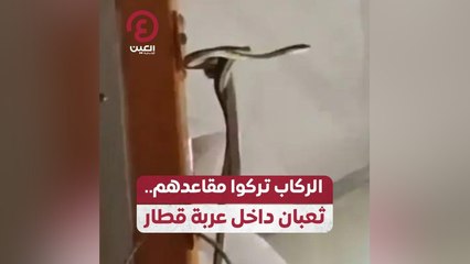 الركاب تركوا مقاعدهم.. ثعبان داخل عربة قطار