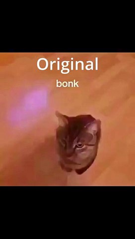 Cat jump Bonk sound effects