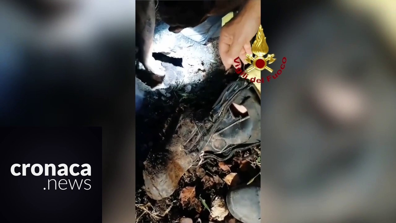 Cane cade in un pozzo, il video del salvataggio dei Vigili del Fuoco