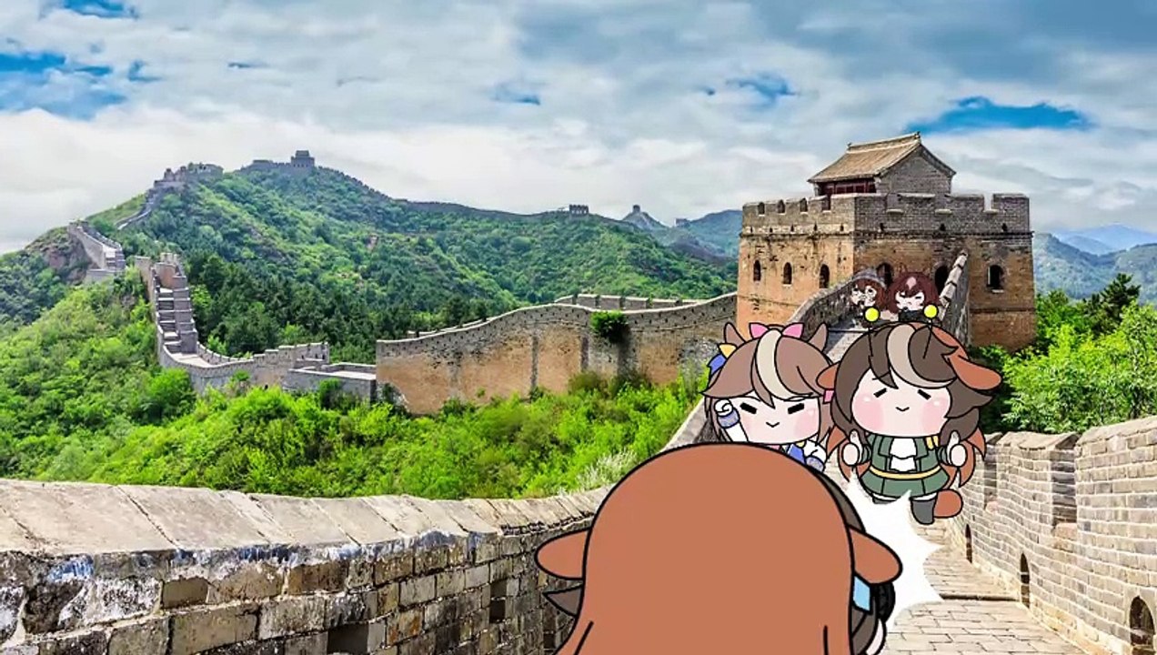 たぬき 21