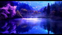 Relaxing Sleep Music • Deep Sleeping Music, Relaxing Music, Stress Relief, Meditation Music | dailymotion