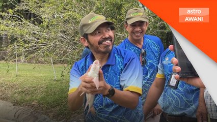 Banci pertanian 2024 libatkan komuniti Orang Asli dan Pribumi Borneo