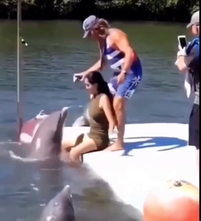 Funny video Funny
