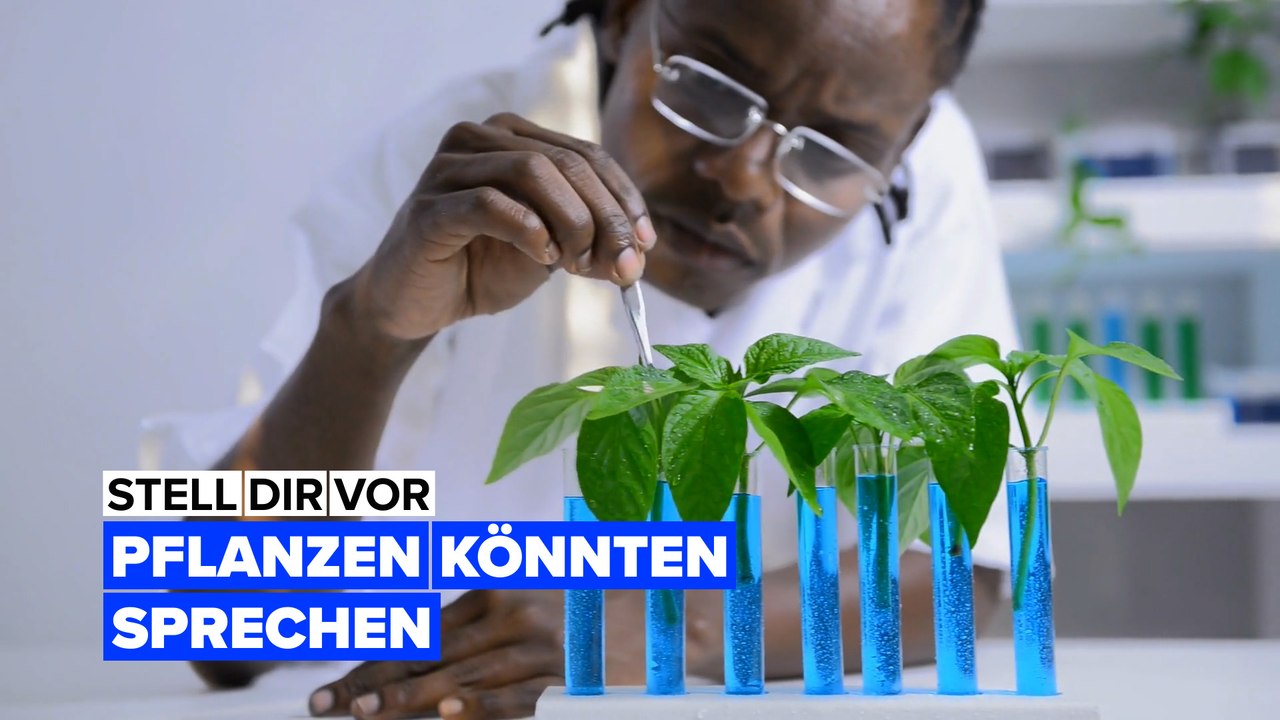 Stell dir vor, Pflanzen könnten sprechen