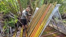 5 days built a shelter with p2 water coconut trees bushcraft survival camping