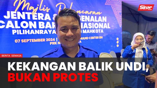 Isu protes undi Cina lebih kepada kelompok pengundi luar - Syed Hussien