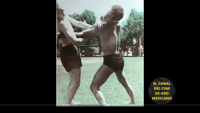 01503CCM ANÉCDOTAS de WOLF RUVINSKIS