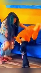 Funny Animal Videos - Unusual Memes Compilation 2024