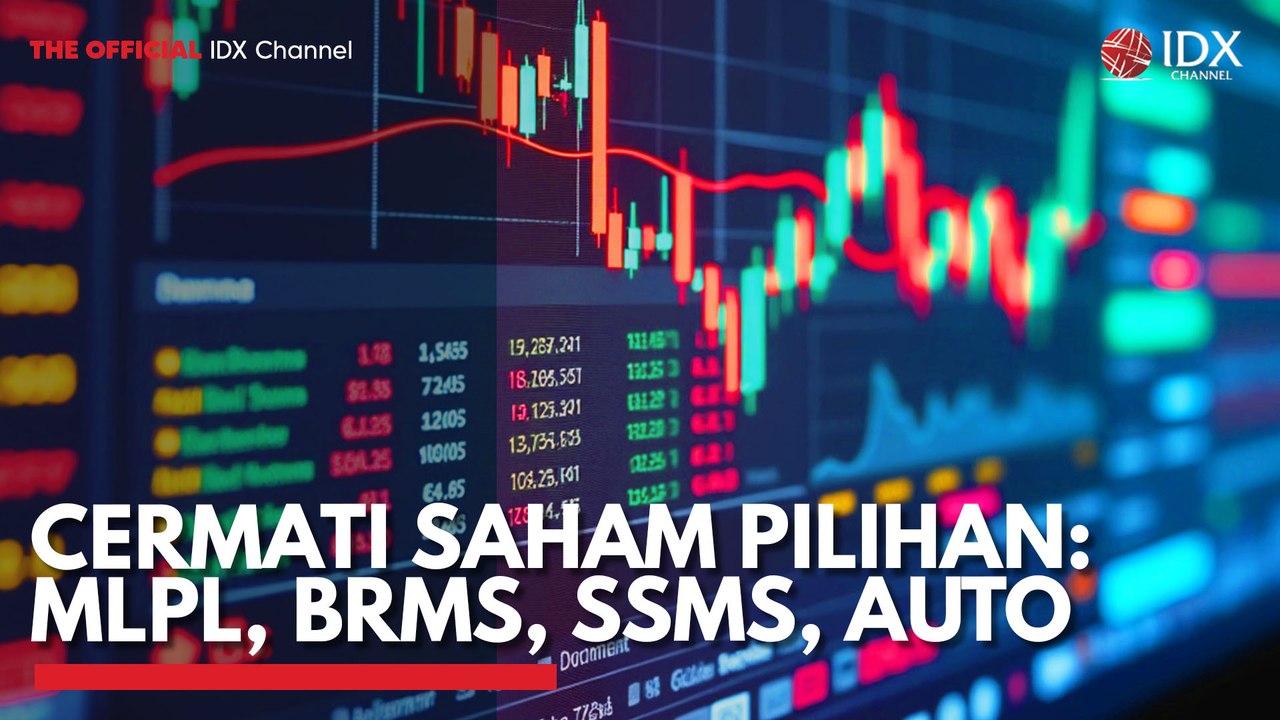 Cermati Saham Pilihan: MLPL, BRMS, SSMS, AUTO