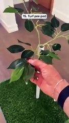 Top 5 Dog products You Must Have #petlovers