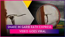 Snake In Garib Rath Express: Serpent Seen Inside AC Coach Of Jabalpur-Mumbai Train, Video Goes Viral