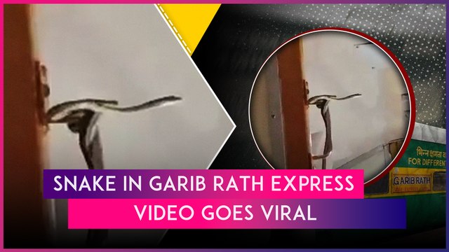 Snake In Garib Rath Express: Serpent Seen Inside AC Coach Of Jabalpur-Mumbai Train, Video Goes Viral