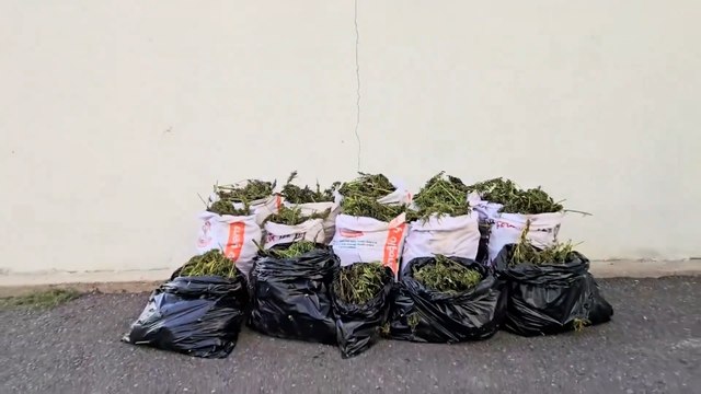 32 İlde NARKOÇELİK-40 operasyonlarında 125 zehir taciri ve sokak satıcısı yakalandı