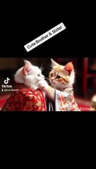 Funny talking Brother and Sister