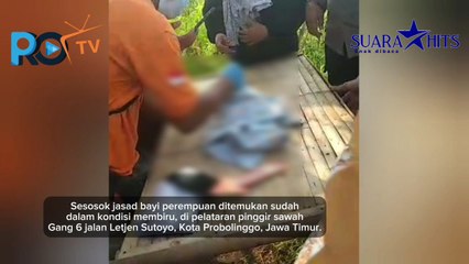 Biadab, Bayi Perempuan Ditemukan Membiru di Pelataran Pinggir Sawah!