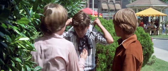 El Enjambre 1978 Español Latino - The Swarm - TV Cut