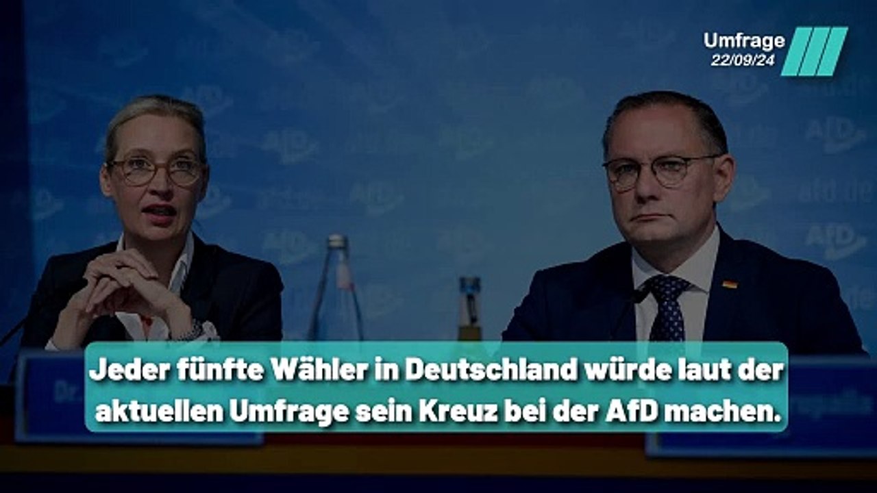 Warum lehnen alle anderen Parteien eine Zusammenarbeit ab ?