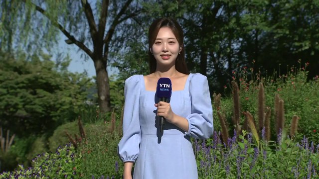 [날씨] 내일도 쾌청한 가을 날씨...낮엔 기온 쑥, 큰 일교차 / YTN