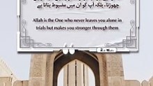 Best Quotes #quran #quotes #shortsviral #shortvideo #shorts #short #tranding #viralvideo #quranurdu
