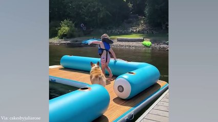 Avoir des chiens protecteurs, c'est tout simplement incroyable ! Profitez de ces moments adorables entre votre fidèle compagnon et vous-même !