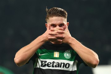 Liga Portugal : Sporting et Gyökeres en pleine ascension 🚀