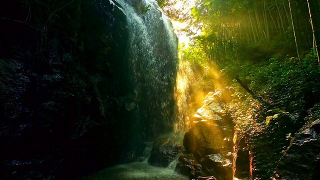 Âm nhạc thư giãn trị liệu với cảnh đẹp nhân gian - Bản hòa tấu nhạc cụ dân tộc nghe thấu tâm can