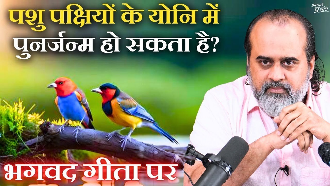 क्या हमारा पशु पक्षियों आदि निम्न योनियों में प...