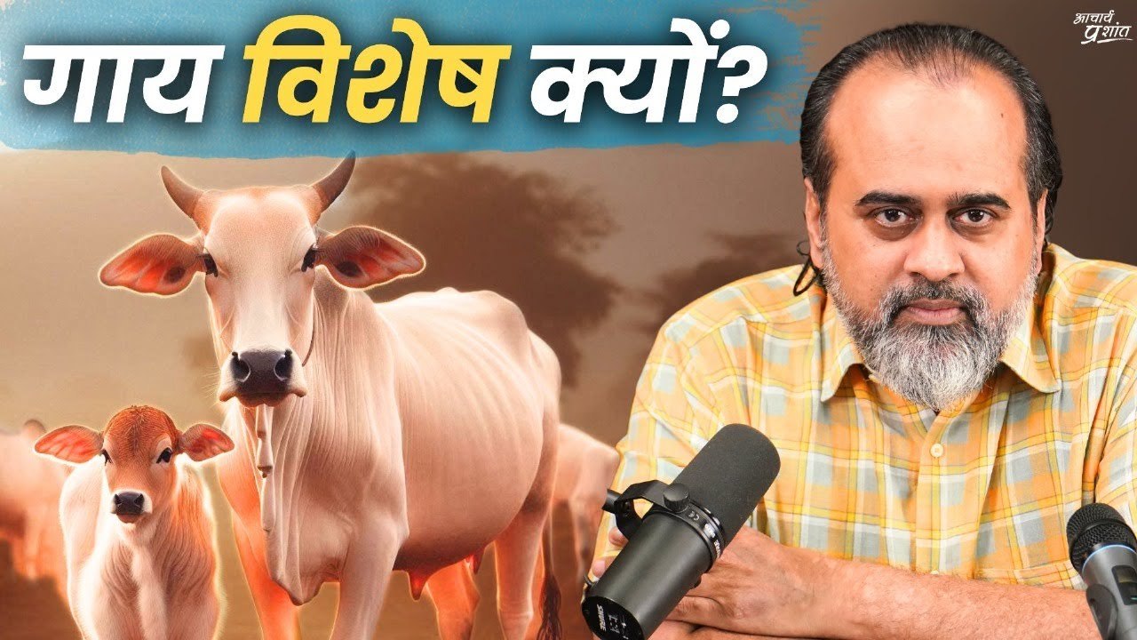 गाय विशेष क्यों? || आचार्य प्रशांत, बातचीत (2020)