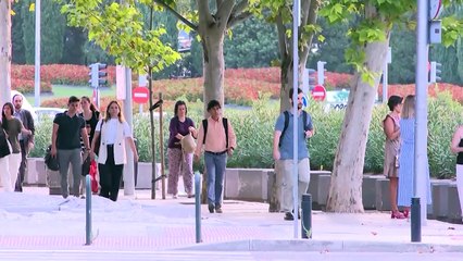 El 1% más rico posee mayor riqueza que el 95% de la población mundial