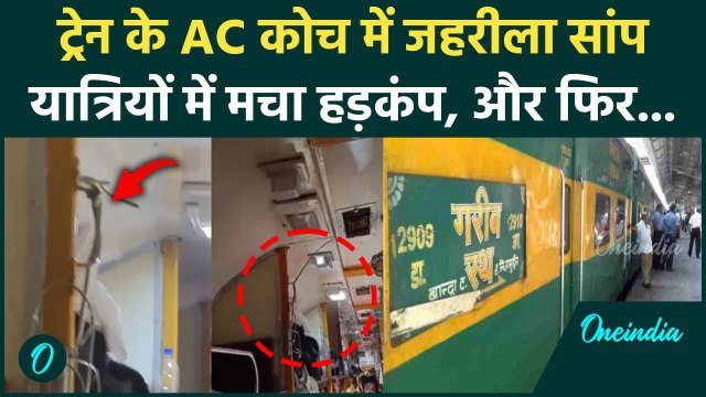 Train के AC कोच में निकला सांप, Video Viral | Jabalpur Mumbai Garib Rath Express | वनइंडिया हिंदी