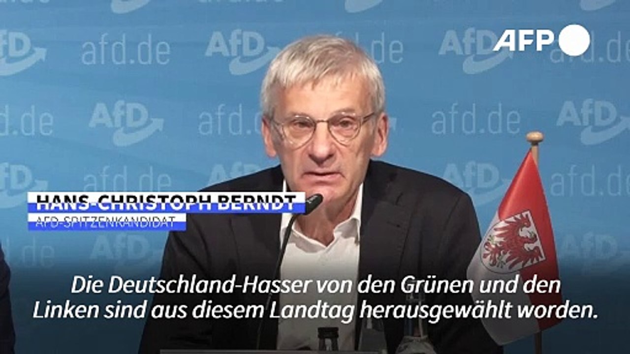 AfD beklagt 'einseitige Parteinahme durch Medienkartell' in Brandenburg