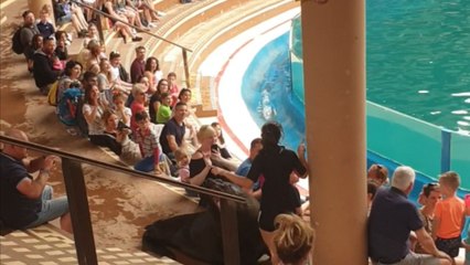 Oasis Wildlife Park fish shows off for cameras after frustrating getaway