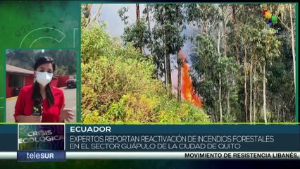 ¡Situación crítica! Nuevos focos de incendio en Guápulo