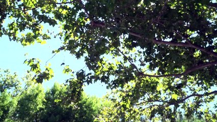 Google demanda a Microsoft ante Comisión Europea por presunto monopolio en la nube