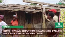 [#Reportage] Mbigou : les villageois victimes du conflit Homme-faune