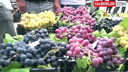 Osmangazi'de Üzüm Şenliği Coşkusu