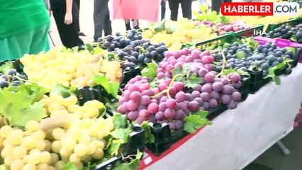 Osmangazi'de Üzüm Şenliği Coşkusu