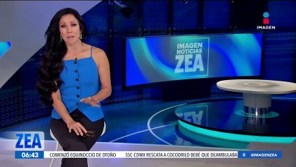 Nacen poco más de 151 mil ejemplares de la tortuga lora en Tamaulipas